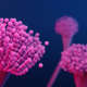 An illustration of Aspergillus fumigatus, the most common species of the fungus aspergillus capable of causing a life-threatening, but rare infection